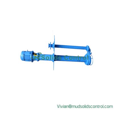 150YZ250-40B Pompes à lisier submersibles Solution fiable pour le traitement des liquides riches en solides